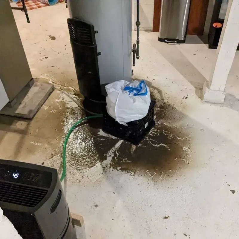 Sewage Backup Cleanup Service in Montgomery County, VA